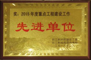 2015年1月 獲得“2015年度重點(diǎn)工程建設(shè)工作先進(jìn)單位”